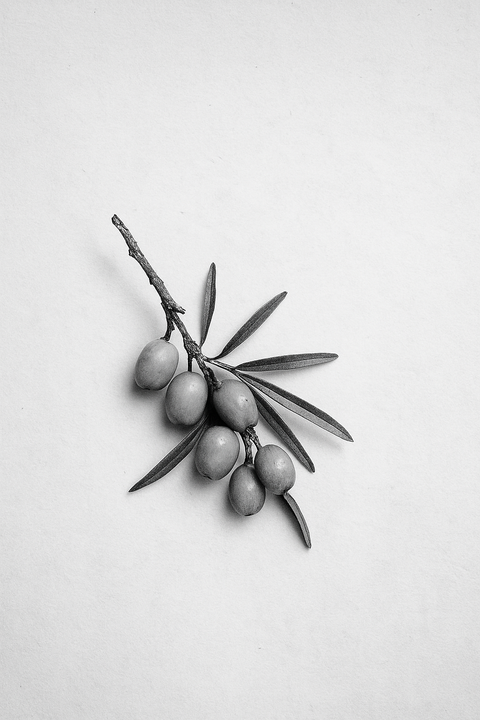 SEA BUCKTHORN