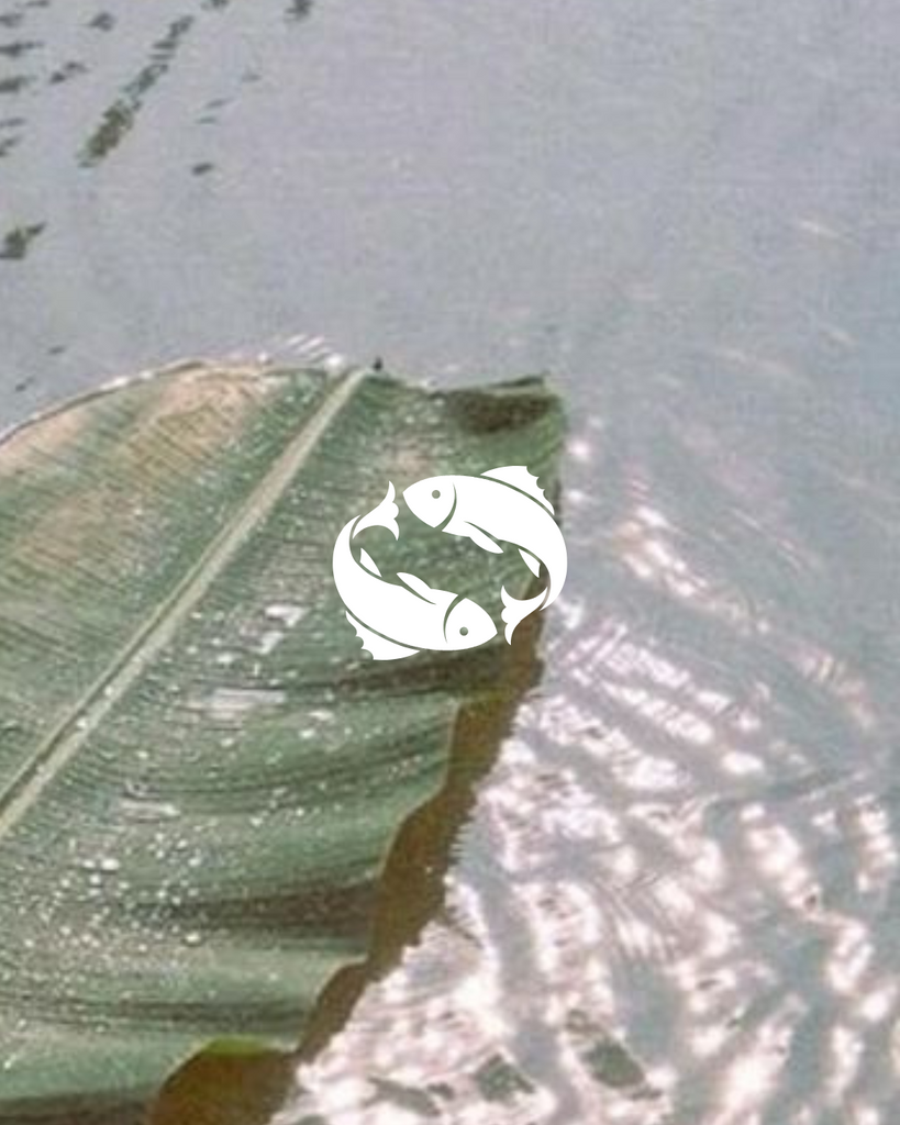 Pisces SZN by Brooke MacQueen