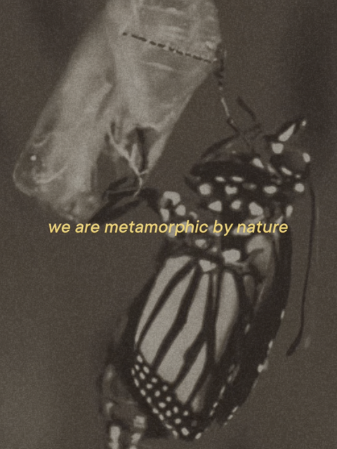 Metamorphic by Nature - An Ode to Women