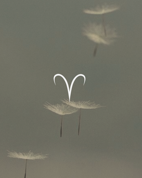 Aries sign on floating dandelions