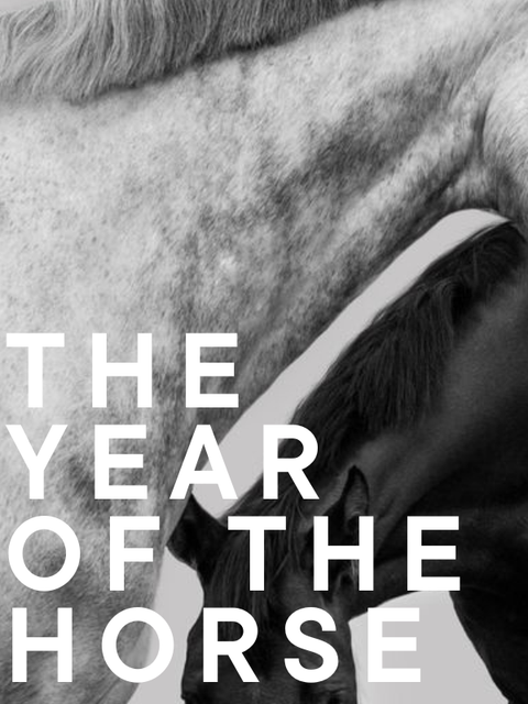 The Year of the Horse