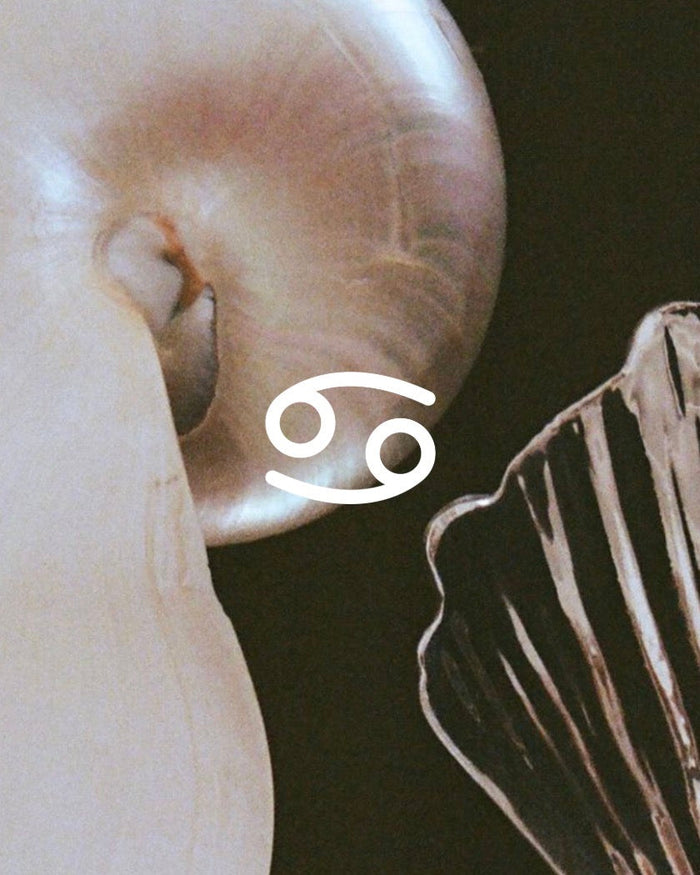 cancer sign on shell background