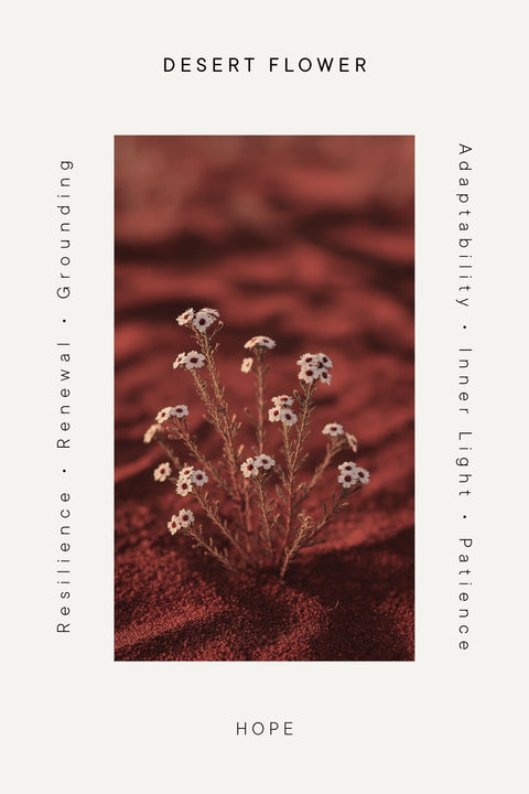 Desert Flower